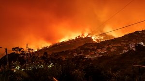 Kebakaran Hutan di Korea Selatan Tewaskan 18 Orang