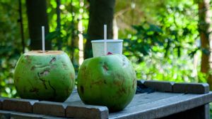 Tak Hanya Melepaskan Dagaha, Inilah 7 Manfaat Berbuka Puasa dengan Air Kelapa 