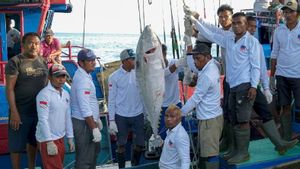 Biak Pasok 1,7 Ton Ikan Tuna Segar ke Pasar Jepang