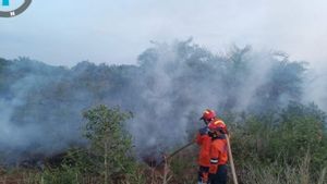 Karhutla Appears In South Sumatra And Central Kalimantan, BNPB: Fire Successfully Extinguished