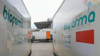 Bio Farma Catatkan Rugi Bersih Rp1,16 Triliun Sepanjang 2024