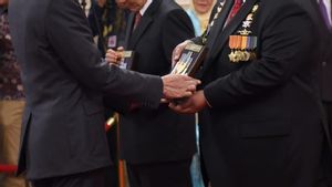 Gelar Pahlawan Nasional dalam Selubung Politisasi Abadi