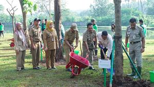 Real Actions For Environmental Preservation Through Tree Planting To Plastic Waste Recycling Initiatives