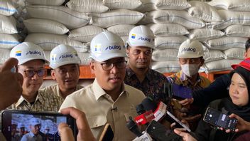 Panen Melimpah, Indonesia Bakal Ekspor 2.000 Ton Beras per Bulan ke Malaysia