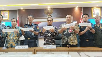 Penyelundupan 383.615 Ekor Baby Lobster Digagalkan Lanal Palembang, Kerugian Negara Rp38 Miliar