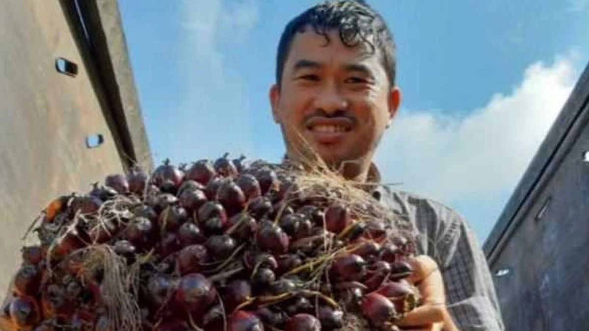 Jenis Komoditas Ekspor Perkebunan Indonesia yang Banyak Diminati Negara-negara Eropa