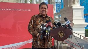 Menko Airlangga Pastikan Kebijakan Fiskal Prabowo-Gibran Tetap Berlanjut