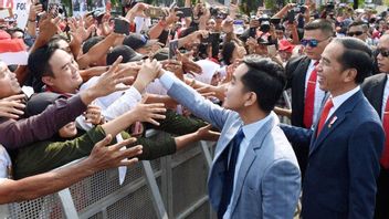 Regarding President Joko Widodo's Political Strategy: Will Not Put All Eggs In One Basket