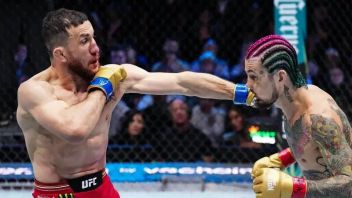 レマッチ・メラブ・ドヴァリシヴィリ vs ショーン・オマリー ユナイテッドUFC 310ニュージャージー州 6月7日