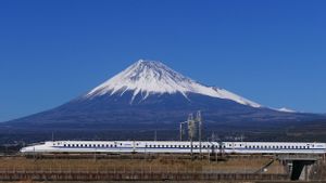 Ular Sebabkan Pemadaman Listrik, Layanan Shinkansen Tokyo-Osaka Sempat Alami Gangguan