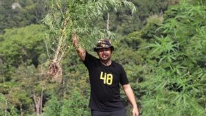 Bukan Rumah Tokoh Demo Tolak IUP Tambang, Polisi Tegaskan Kepung Bandar Narkoba di Nagan Raya Aceh