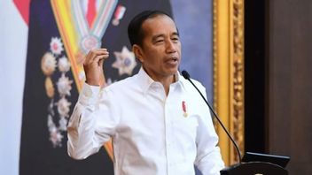佐科威谈费迪·桑博的判决：法院的领土，政府不干涉
