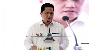 Di Depan Komisi VI DPR, Erick Thohir Pamer Kinerja BUMN Tetap Tumbuh di Tengah Pandemi COVID-19
