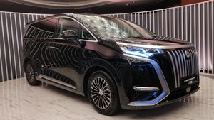 نزاع العلامة التجارية دينزا، BYD: نحن نحمي حقوق الملكية الفكرية