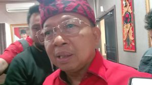 Wayan Koster Tak Khawatir Konsolidasi Gibran Menggerus Suara Ganjar-Mahfud di Bali