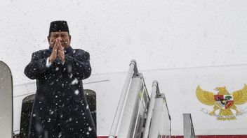 Presiden Prabowo Bertolak ke Antalya untuk Agenda Terakhir di Turki
